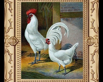 Rooster Birds Miniature Dollhouse Art Picture 8189