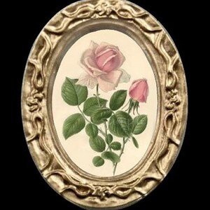 Vintage Pink Rose Miniature Dollhouse Art Picture 6345