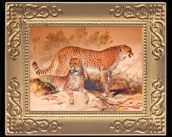 Peut inclure: Une peinture encadrée représentant deux guépards dans un champ herbeux. Les guépards sont bruns avec des taches noires et regardent le spectateur. La peinture est encadrée dans un cadre doré aux détails ornés.