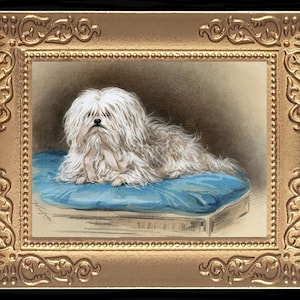 Maltese Dog Miniature Dollhouse Art Picture 8198