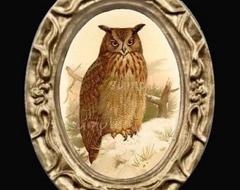 May include: A vintage illustration of an owl in a gold oval frame. The owl is brown and white with red eyes and is perched on a branch in a snowy setting.