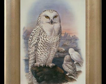 May include: Framed print of a snowy owl with yellow eyes, perched on a rock. The artwork depicts two other owls and a snowy landscape in the background. The frame is a light gold color.