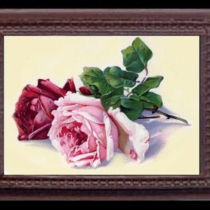 Vintage Pink & Red Roses Flowers Dollhouse Rose Art Picture 6906