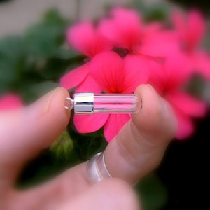 May include: A small, clear glass vial with a silver-coloured metal cap and loop, held between fingers. The vial contains a light-coloured, fibrous material. Bright pink flowers are blurred in the background.