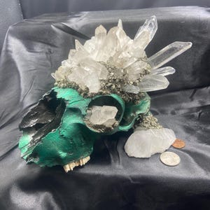 goat skull