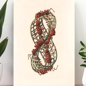 May include: An art print featuring a Mobius strip structure with red ants crawling on it. The ants are detailed with black legs and antennae. The background is a cream color, and the print is displayed on a wooden surface.
