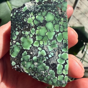 May include: A piece of polished stone with a striking pattern. The stone features a mottled design of light green and black, with the green areas resembling irregular, interconnected shapes. The stone is held in a hand, showcasing its natural texture and color variations.