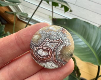 Chameleon Lace Agate Cabochon, handmade