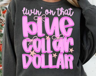 Può includere: Felpa grigio scuro con la scritta rosa "livin' on that blue collar dollar", bordata di rosa più scuro. Il testo è decorato con perle e stelle. La felpa è in stile casual.