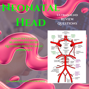 Neugeborenen Kopf Ultraschall Quiz: ARDMS ObGyn Bewertung (PDF herunterladbare Übungsfragen)