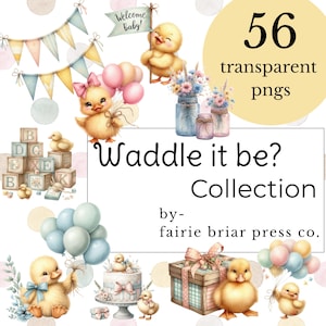 Ducky Baby Shower PNG | Graphique révélateur de genre | Style ferme | Clipart fête d'enfants | Faire-parts déco canard, illustrations transparentes