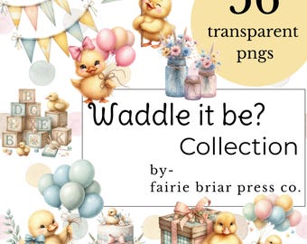 Ducky Baby Shower PNG | Gender Reveal Graphic | Farmhouse style | Kids Party Clipart | Duck Decor Invitations, transparent Illustrations