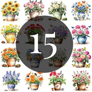 Watercolor Floral Pot Clipart Bundle: Vibrant Flower PNG (Digital Download)