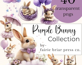 Clipart aquarelle lapin violet – 40 images PNG (téléchargement numérique)