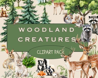 Woodland Creature Clipart Bundle – 64 Forest Animal PNGs for Nursery Wall Art, Baby Shower, Scrapbooking, Sublimation – Digital Download