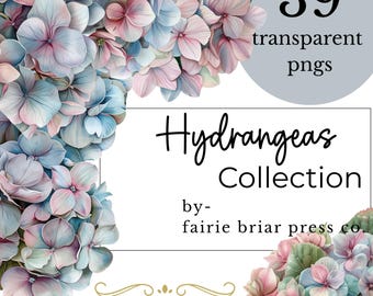 Imágenes prediseñadas de hortensias en acuarela: guirnaldas florales azules y rosas (descarga PNG)