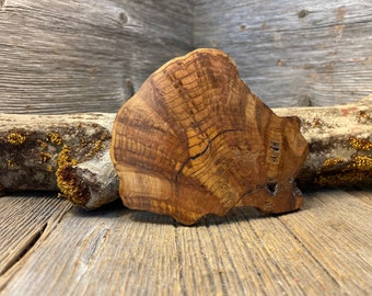 Wood/ Wooden Barrette/ Hairclip: Fully stabilized, Spalted Cherry crotch Burl ( Large)