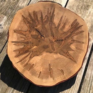 May include: A round wooden slice with a unique, spiky pattern in the center. The wood is a light brown color and has a natural, rustic finish.