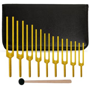Solfeggio Chakra Tuning Fork Set of 9 Sound Healing, Meditation & Energy Balance