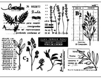New clear stamps set, botanical stamps and flowers stamps theme for all your creations