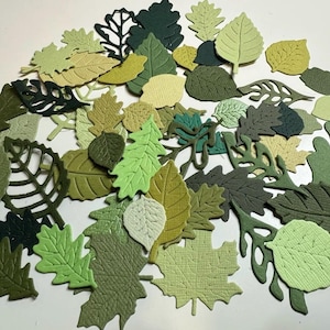 May include: Assortment of green, brown and white paper leaves in various shapes and sizes. The leaves are cut out and have a textured surface.