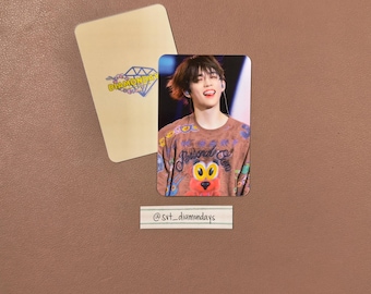 Seventeen PCs Photocards OT13 Fan-Made - Right Here World Tour Photocards