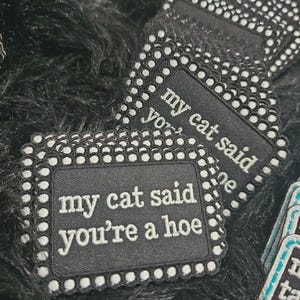 May include: A rectangular black embroidered patch with a white scalloped border featuring white stitched text that reads, my cat said you're a hoe. The patch has a textured fabric surface and is stacked with other identical patches.