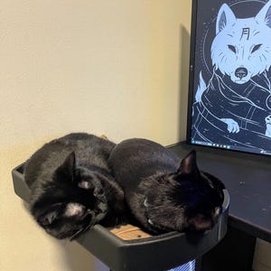 CatDock – Clamp-On Modular Cat Bed for Desks | Cat/Small Pup Perch Add-On for Pet Owners | UPDATED: Custom Cat-Carpet Cutout INCLUDED!!!