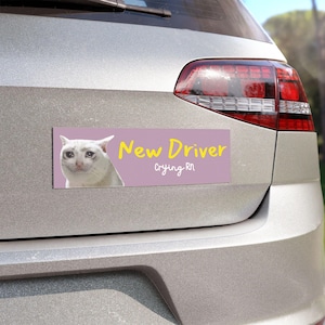New Driver Cat Magnet, Funny Car Magnets, Gift for New Drivers, Pet Lover Magnet, Car Decor, New Driver Gift, 10&quot;× 3&quot;