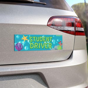 Marine Theme Student Driver Car Magnet: Safe Driving Decor 10&quot;x3&quot;