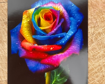 PRIDE Rose - ACEO Artist Trading Card - High Quality Print, Signed on Reverse