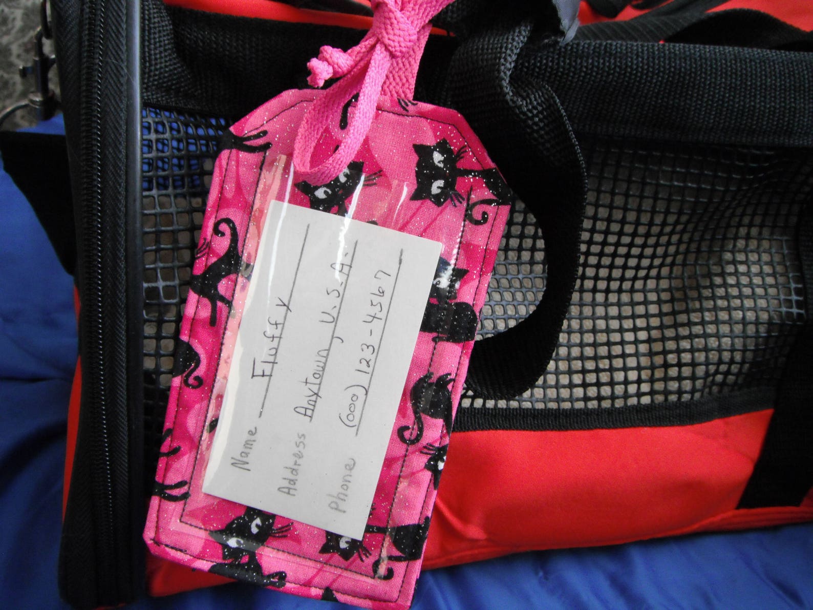 Bones Print Tag Pet Carrier Tag Luggage Tag ID Tag Etsy