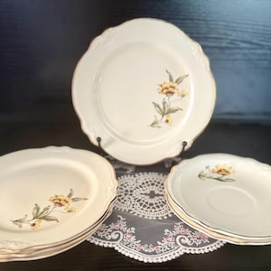 Vintage Retired Homer Laughlin, Virginia Rose, 8 and 5 inch Salad and Dessert Plates, 4 each, Set of 8