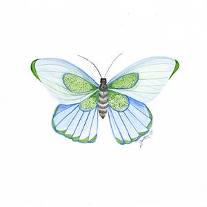 Stampa di farfalla acquerello blu e verde