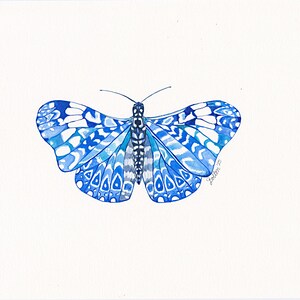 Stampa farfalla acquerello blu