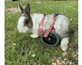 ウサギの移動用車椅子、カスタムウサギの障害者用車輪、移動補助具