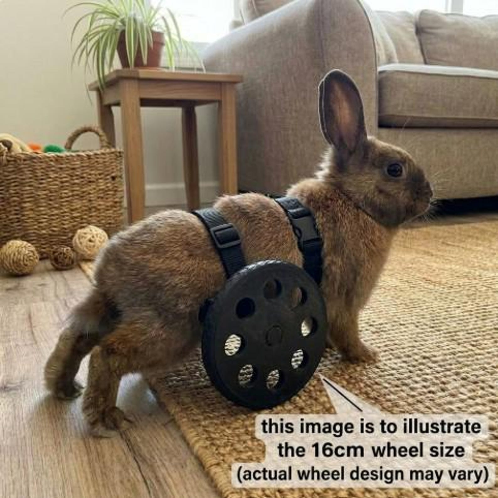 Rabbit Mobility Wheelchair Custom Bunny Disabled Wheels Mobility Aid - Etsy