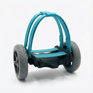 May include: A teal and black pet wheelchair with two gray wheels. The wheelchair has a teal harness and a black support structure. The wheels are made of gray rubber.