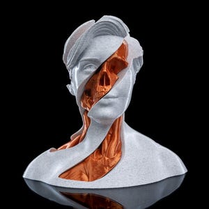 May include: A bust sculpture featuring a white, speckled outer layer that is partially peeled away to reveal a metallic copper-coloured skull and neck anatomy underneath. The figure has a smooth, layered texture and a distinct, clean-cut aesthetic.
