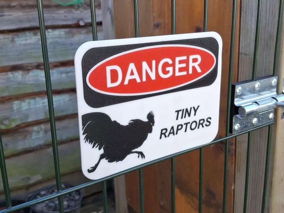 Chicken Danger Sign (tiny Raptors) Funny Farmyard Warning Decoration - Etsy
