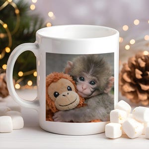 Punch Monkey Ceramic Mug, Trending Baby Monkey Mug, Life’s Not So Bad When You’re Around Mug,11 oz Coffee Mug, Viral Punch Monkey Hug Mug