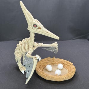 Pteranodon Skeleton 3D Printed & Articulated.