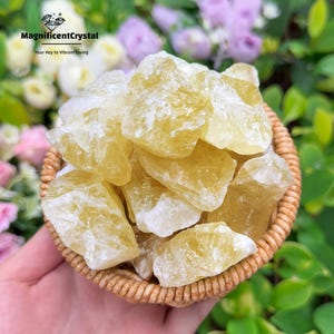 May include: A close-up of a small basket filled with yellow calcite crystal chunks. The crystals are translucent and have a slight golden hue. The basket is made of woven wicker and is sitting on a green leafy background.