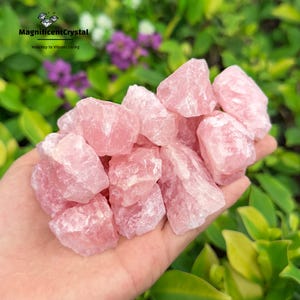 May include: A hand holding a pile of pink rose quartz crystals. The crystals are rough and have a natural, unpolished look. The text "MagnificentCrystal Your Key to Vibrant Living" is visible in the top left corner of the image.