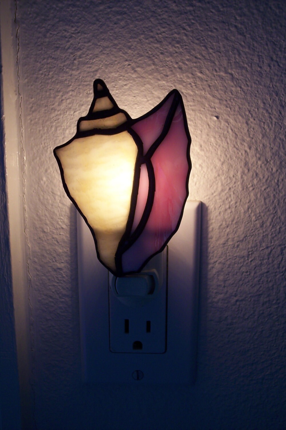 Conch Shell Night Light Etsy
