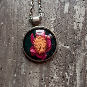 Peony with Yellow Burst - Silver 25mm Circle Pendant