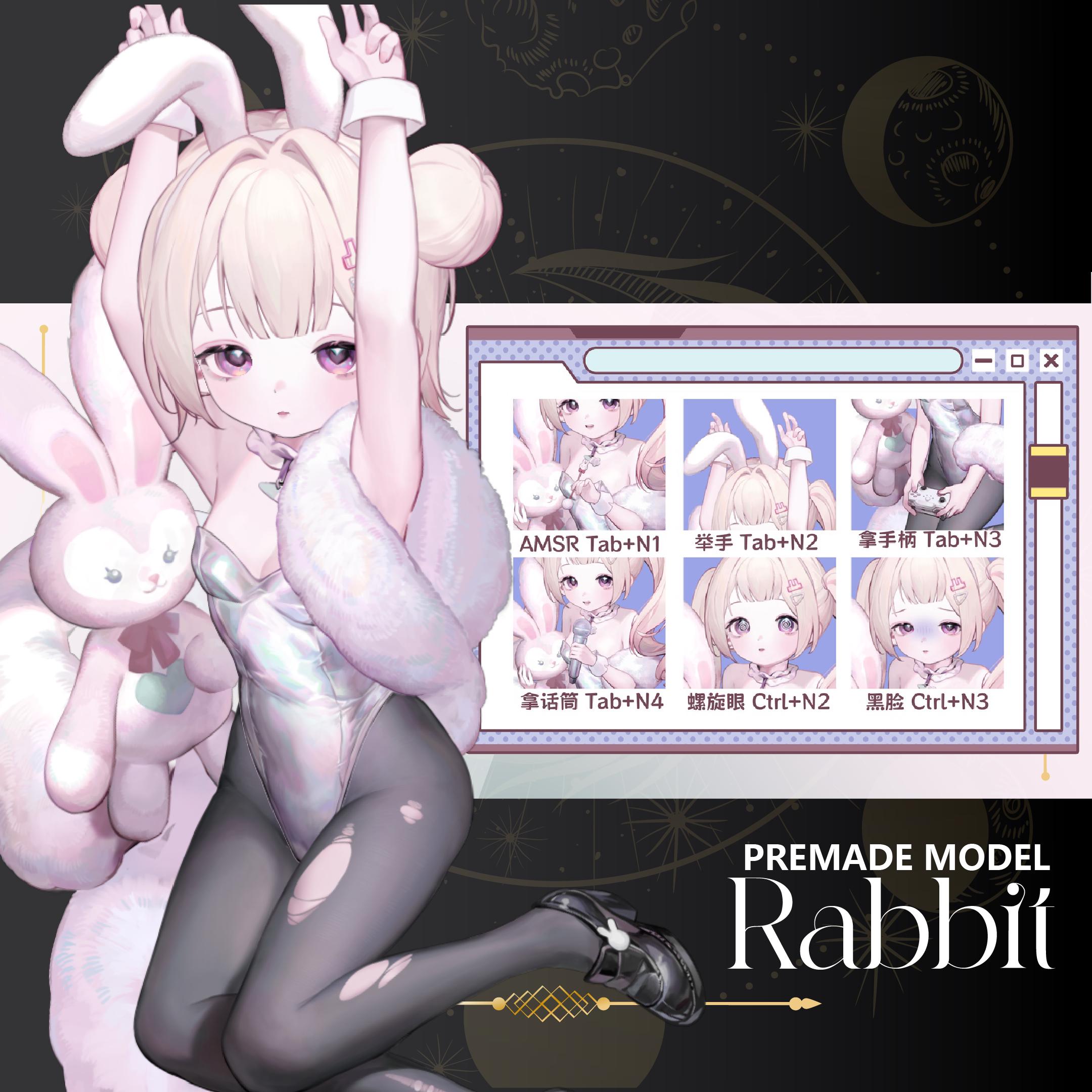 Rabbit/premade Vtuber Model/fully Rigged 15+exp - Etsy