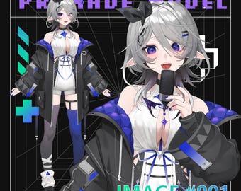 image #001/Premade Vtuber Model/Fully Rigged 15+exp