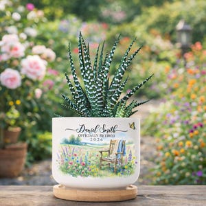 May include: A white ceramic planter with a succulent plant. The planter features a watercolor illustration of a field with a chair and the text "Daniel Smith OFFICIALLY RETIRED 2026". The planter sits on a wooden saucer.