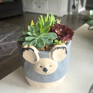 May include: A koala-shaped ceramic plant pot, filled with a selection of succulents. The pot is pale blue with a white face, ears, and base. The succulents feature green and burgundy foliage.